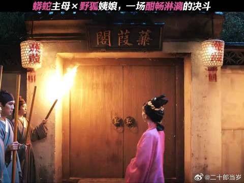 蟒蛇主母×野狐姨娘,一场酣畅淋漓的决斗