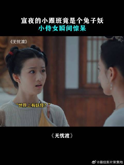 宣夜的小跟班竟是个兔子妖,小侍女瞬间惊呆