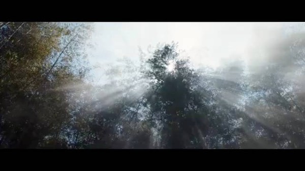 刘诗诗纯享版竹林舞剑