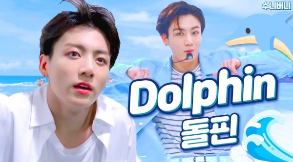 Dolphin哒哒哒 /수니버니