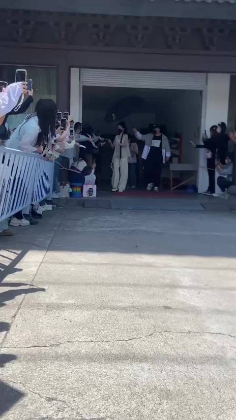 孟子义宠物狗巧克力体重激增,圆润身形引关注