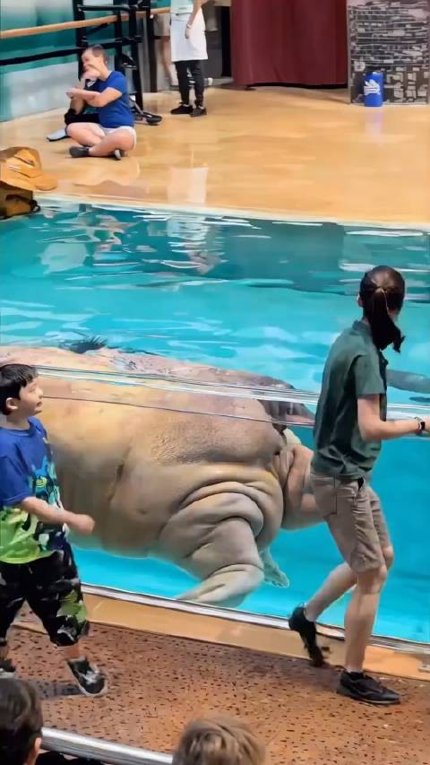 这个是AI吗？游泳丱 的极致诱惑