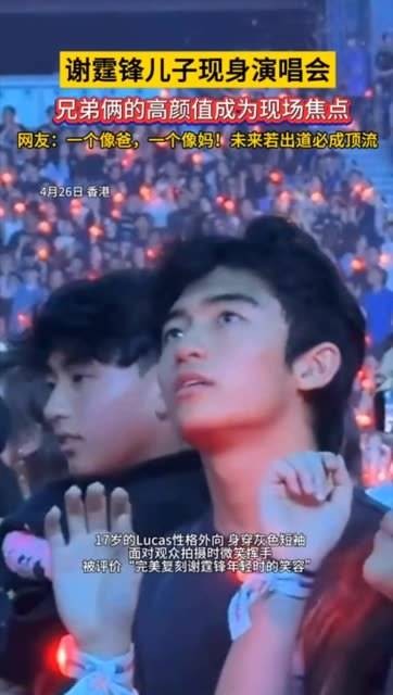 兄弟俩出现在谢霆锋的演唱会现场，两人的高颜值吸引了所有目光！