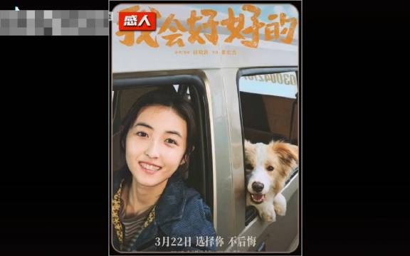 张子枫王景春主演《我会好好的》票房2491万，六边牧出演狗狗张小意