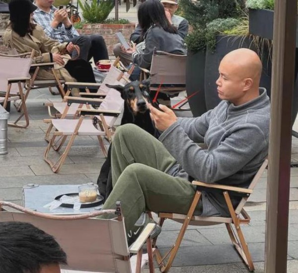 50岁乐嘉：隐居云南600㎡山景别墅遛狗，活成人生赢家
