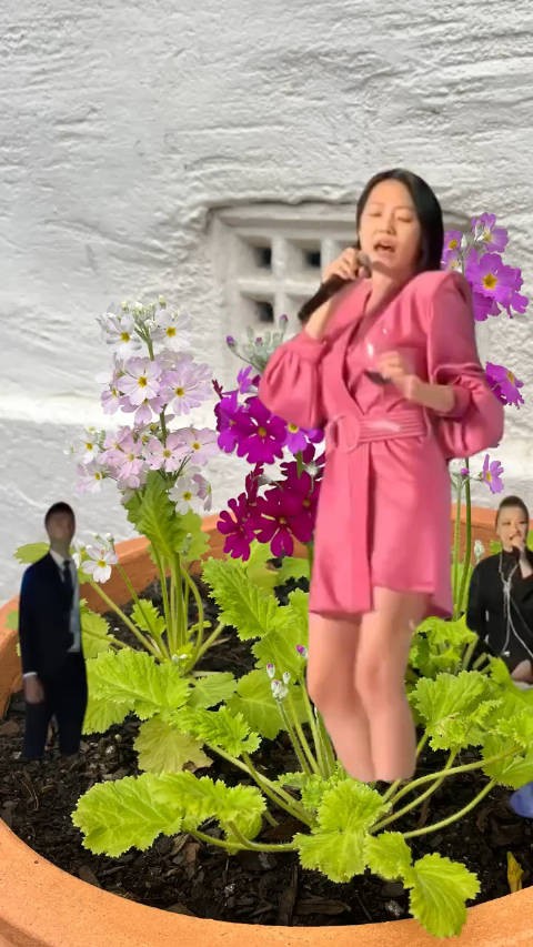 这是20年前，小S的婚礼现场， 当年大S、范玮琪都还没有结婚