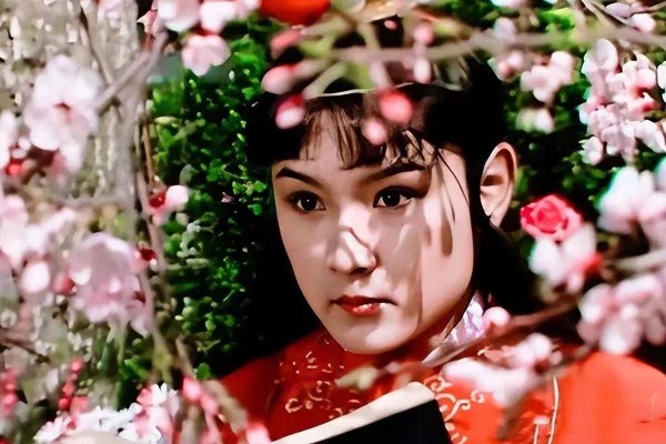 红楼梦：远嫁王妃的真面目竟是驱夷王爷，贾探春干出大事业，流芳百世