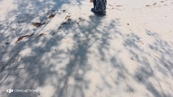 小蛋糕从马来西亚发来了一则资讯 主包给iqc和timi带id啦 画的好可爱！