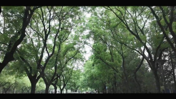 丁程鑫北电学途杀青vlog