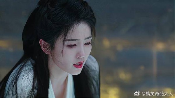 白鹿都这样了她能有什么错！
