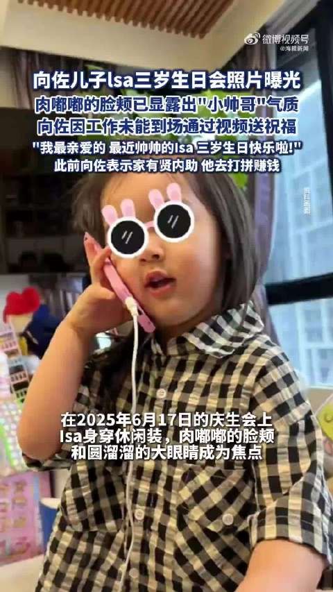 向佐儿子lsa三岁生日会照片曝光
