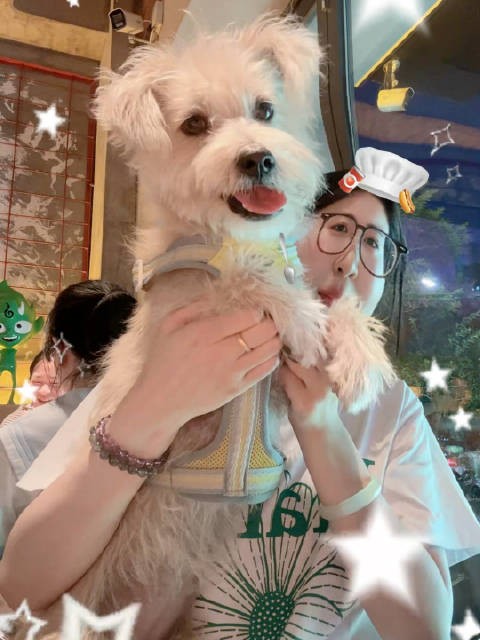 铁锤真的一点都不配合 拍了好多遍 这是坚持时间最长的一遍了