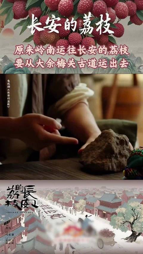 江西古道竟是荔枝通往长安的保鲜密码