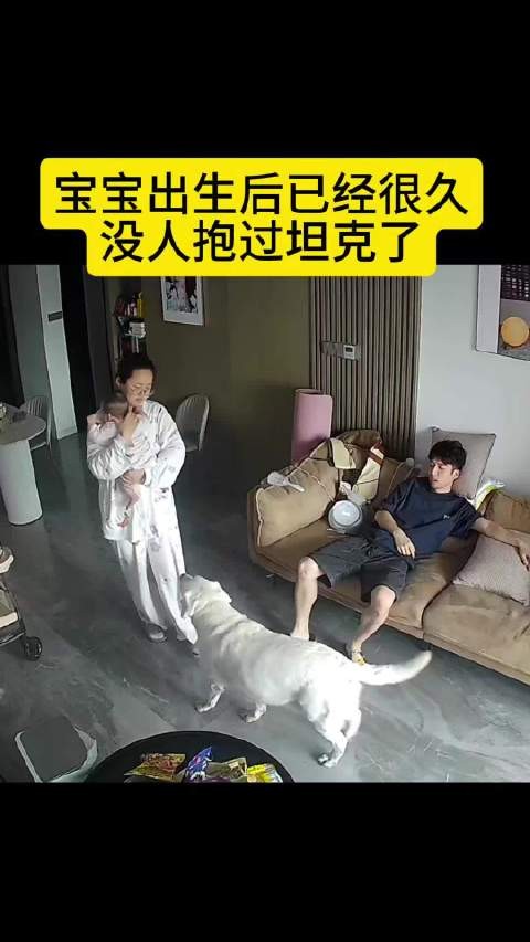想一碗水端平的,结果端翻了