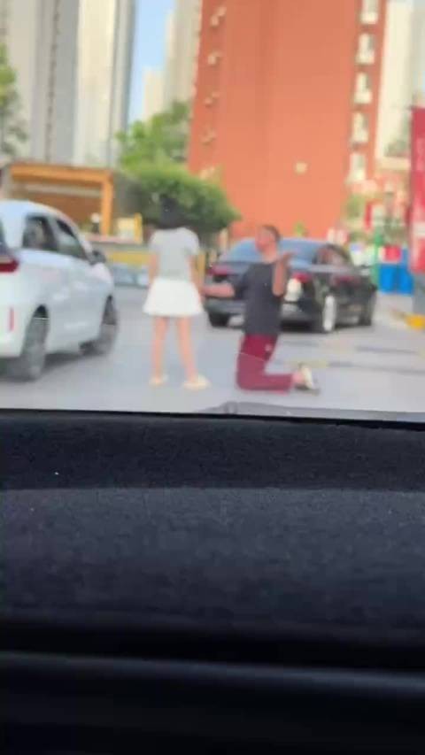 祈求小仙女原谅?