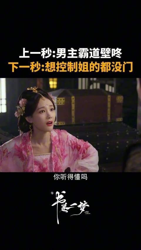上一秒:男主霸道壁咚,下一秒:想控制姐的都没门 书卷一梦