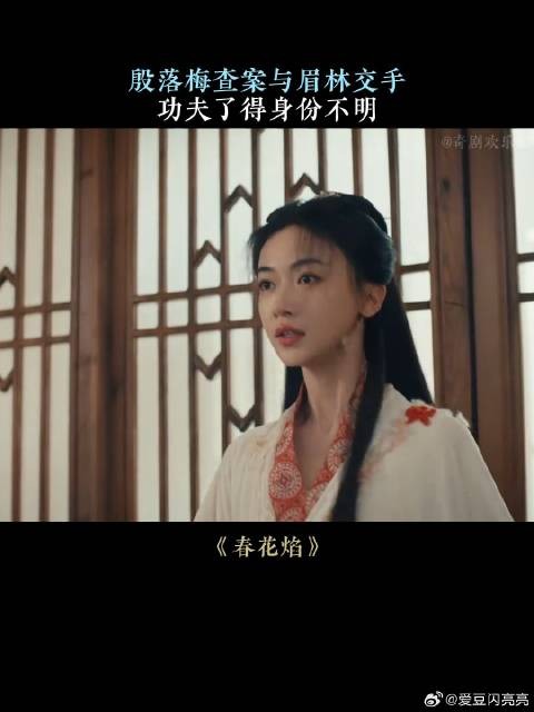 殷落梅查案与眉林交手,功夫了得身份不明