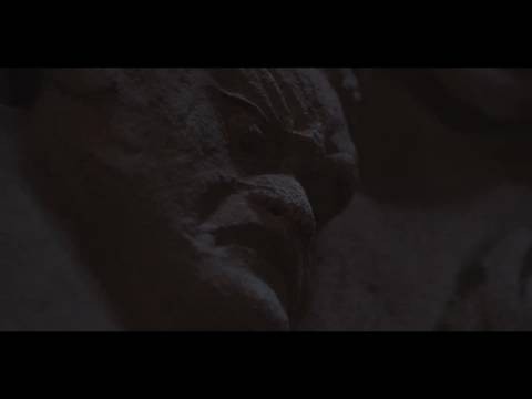 杨紫何惟芳李现蒋长扬《国色芳华》热播
