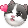 奶牛猫