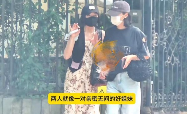 秦岚辛芷蕾聚餐热聊，结束后秦岚直奔魏大勋家，直到深夜也没离开
