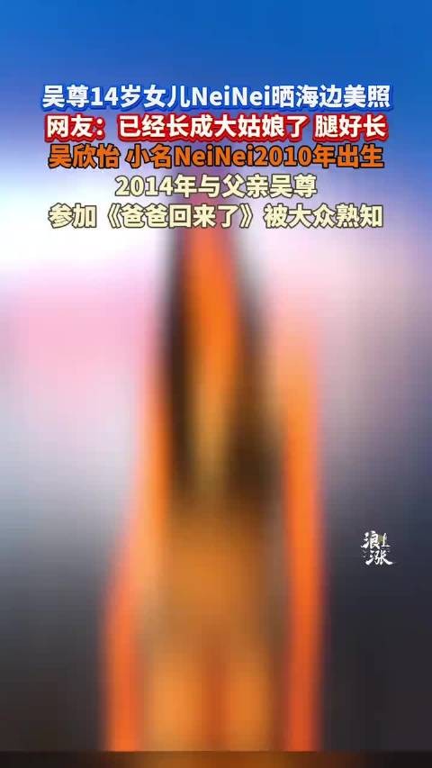吴尊女儿neinei晒海边照