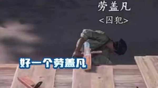 燕云十六声再现奇观,狗打麻将场面引热议