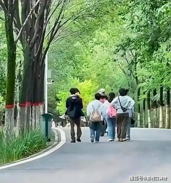 撒贝宁背儿童书包抱女儿逛塔尔寺，李白抢镜，美得很突出