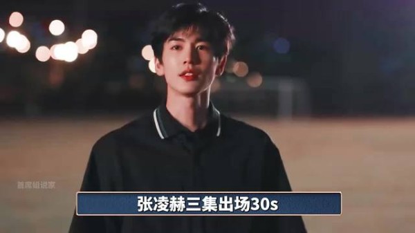 张凌赫出场仅仅30s,却挨最多的骂,他到底做错了什么?