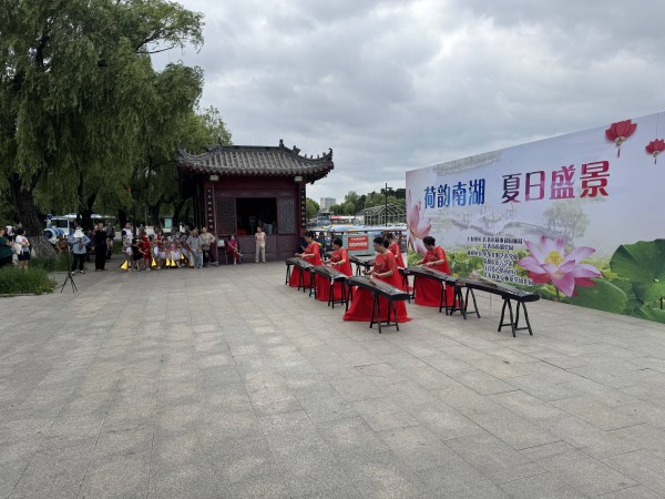古筝雅韵伴荷香，长春市南湖公园荷花节启幕