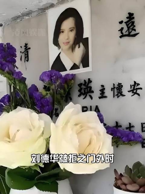 蓝洁瑛葬礼未邀刘德华,姐姐守护隐私显温情