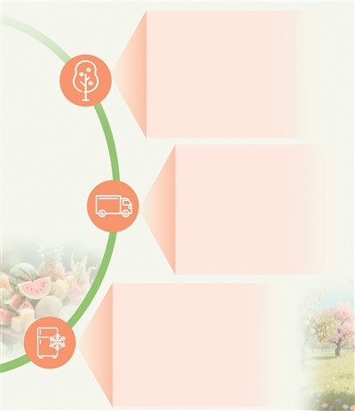 “鲜果自由”是怎样实现的？（“果”然不简单②）