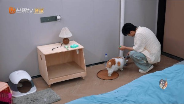 azy好温柔啊 回来赶紧来看柱子呢 太乖了啦
