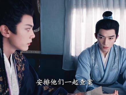 大乱逗哈哈～怎么磕都好磕（我真的太爱群像了）定风波少年热血番终于定了