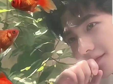实在太惊艳,实在太好看,这位兄弟,帅到没朋友了