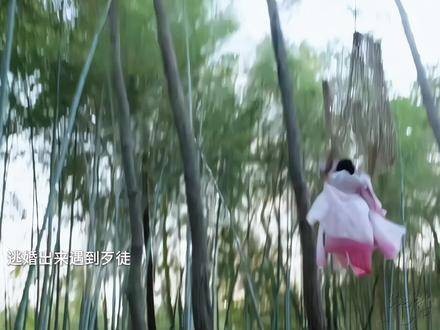 为一人，守一城，终生不嫁