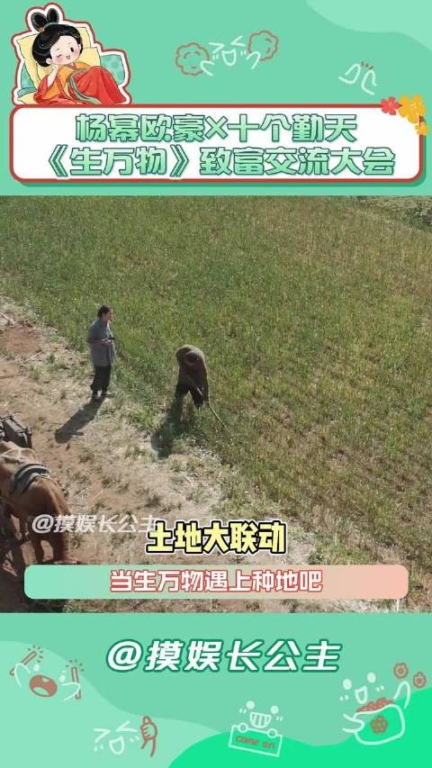 生万物农学致富交流大会举办，杨幂欧豪等分享种地经验