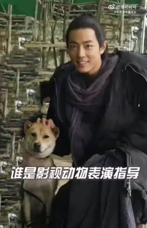 谁是影视动物表演指导