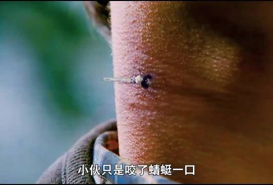 被蜻蜓咬过之后，他成了城市守护者作品二创科幻电影