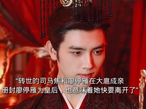 转世司马焦与廖停雁成亲封后，梦醒现实遇魏总