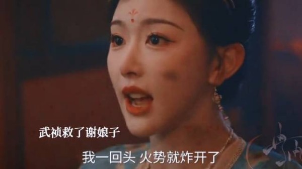 谢娘子表白梅逐雨被拒后说武祯坏话,天火来袭武祯救下谢娘子