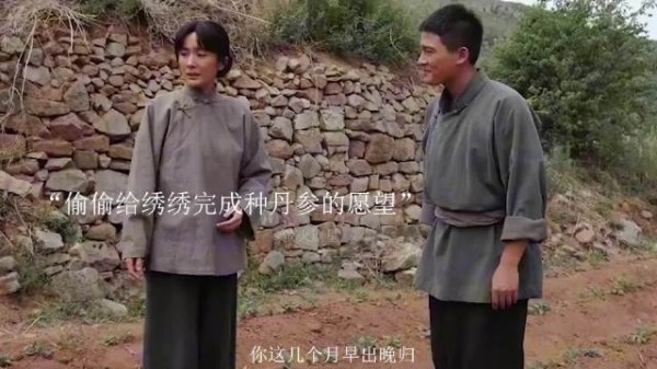 绣绣种丹参发家赚500大洋，大脚暗中支持打脸宁学祥