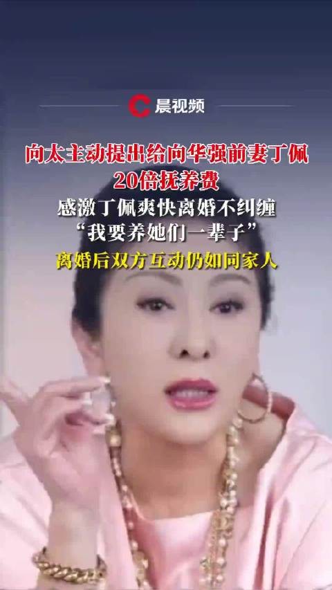 向太谈与向华强前妻丁佩相处细节:主动提出给丁佩20倍抚养费,明确由自己承担