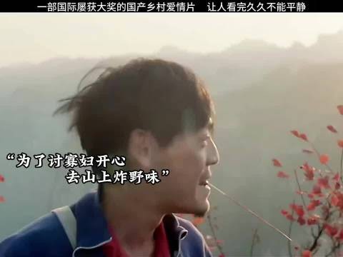 一部国际屡获大奖的国产乡村爱情片,让人看完久久不能平静