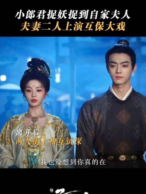 梅逐雨武祯夫妇掉马倒计时,两个人都已经猜到对方的真实身份!许凯田曦薇