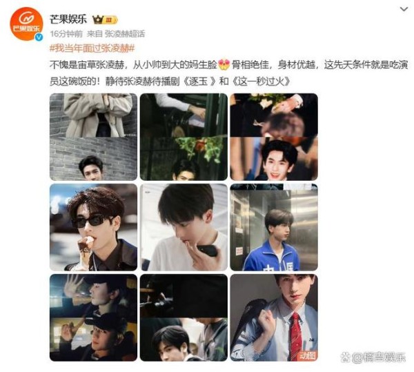 我当年面过张凌赫