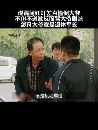 混混闯红灯辱骂老人被认出是退休军长