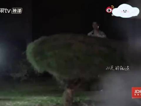 龚俊马思纯互动戏剧性十足,陈数称赞镜头表现