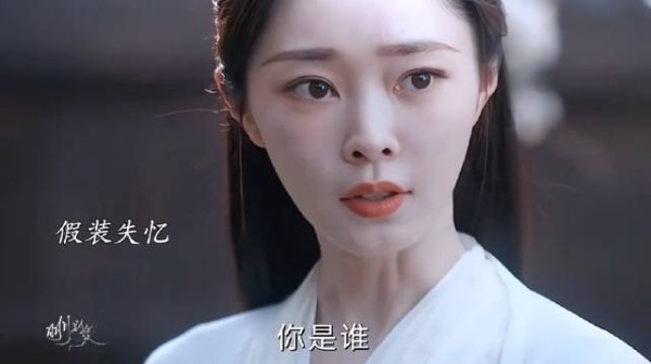 黎霜假死失忆报复晋安，虚惊一场终获幸福