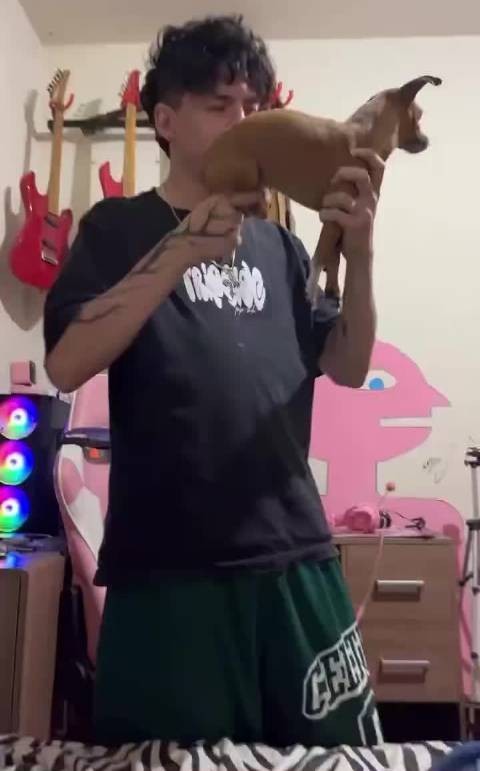 狗：为什么这样扣动扳机