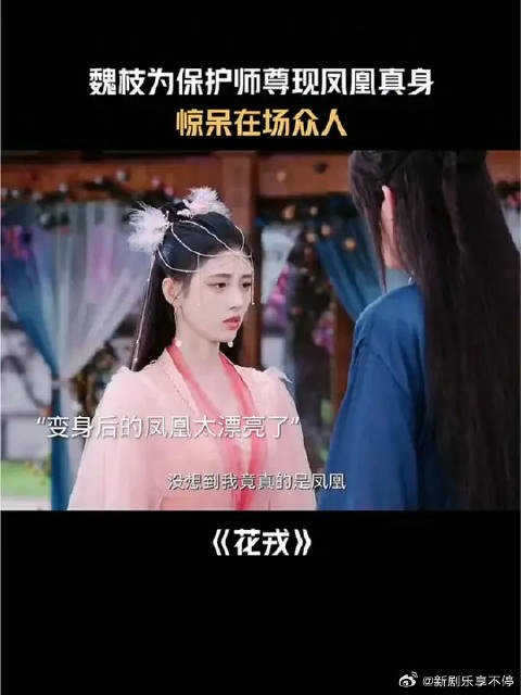 魏枝根本不需要保护好吧!